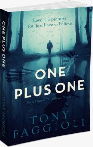 One Plus One, Book Three in the Millionth Trilogy by Tony Faggioli