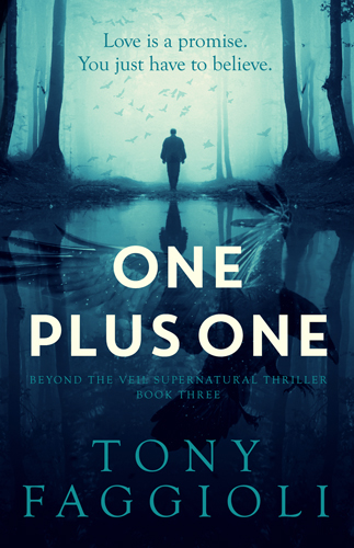 One Plus One (Book 3)